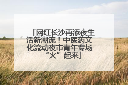 网红长沙再添夜生活新潮流！中医药文化流动夜市青年专场“火”起来