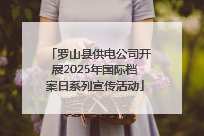 罗山县供电公司开展2025年国际档案日系列宣传活动