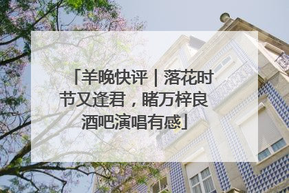 羊晚快评｜落花时节又逢君，睹万梓良酒吧演唱有感