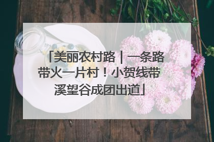 美丽农村路｜一条路带火一片村！小贺线带溪望谷成团出道