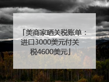 美商家晒关税账单：进口3000美元付关税4600美元