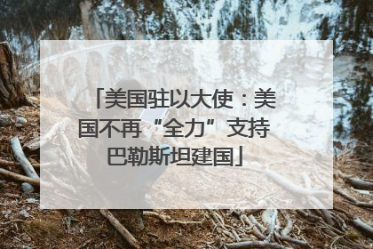 美国驻以大使：美国不再“全力”支持巴勒斯坦建国