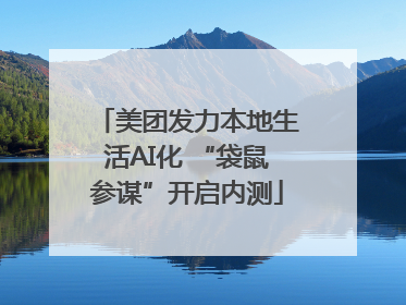 美团发力本地生活AI化 “袋鼠参谋”开启内测