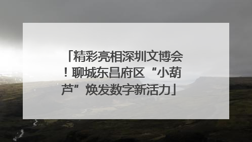 精彩亮相深圳文博会！聊城东昌府区“小葫芦”焕发数字新活力