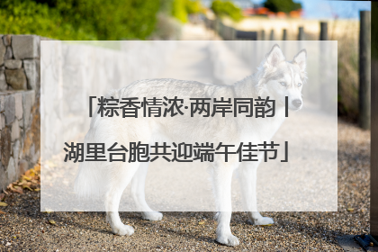 粽香情浓·两岸同韵丨湖里台胞共迎端午佳节