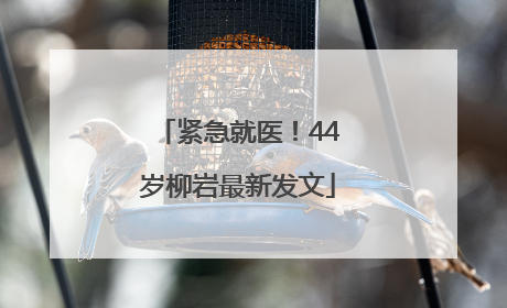 紧急就医！44岁柳岩最新发文