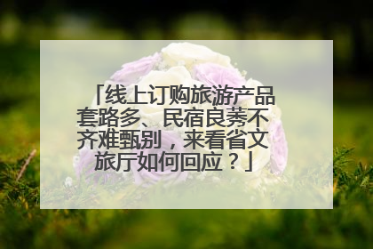 线上订购旅游产品套路多、民宿良莠不齐难甄别，来看省文旅厅如何回应？