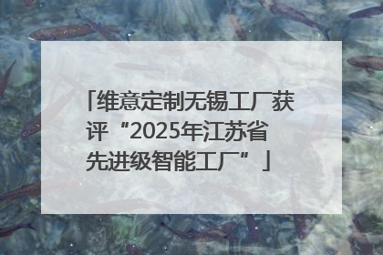 维意定制无锡工厂获评“2025年江苏省先进级智能工厂”