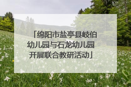 绵阳市盐亭县岐伯幼儿园与石龙幼儿园开展联合教研活动