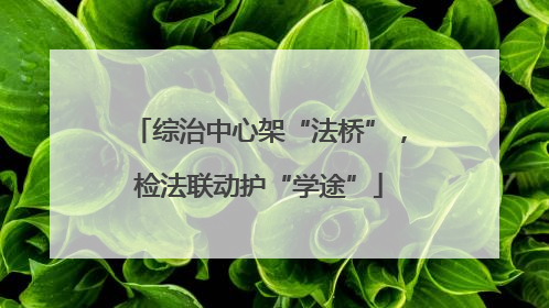 综治中心架“法桥”，检法联动护“学途”