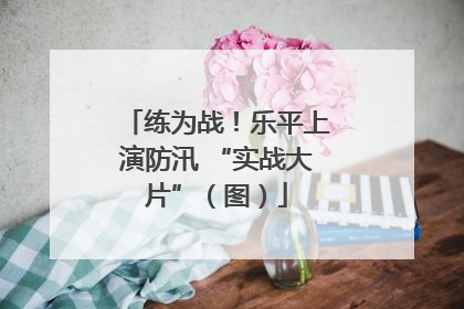 练为战！乐平上演防汛 “实战大片”（图）
