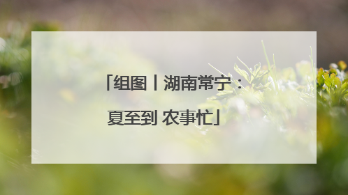组图丨湖南常宁：夏至到 农事忙