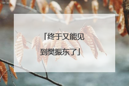 终于又能见到樊振东了