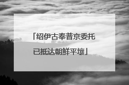 绍伊古奉普京委托已抵达朝鲜平壤