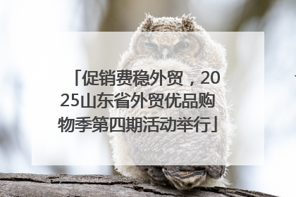 促销费稳外贸，2025山东省外贸优品购物季第四期活动举行