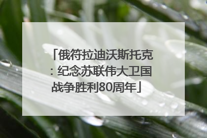 俄符拉迪沃斯托克：纪念苏联伟大卫国战争胜利80周年