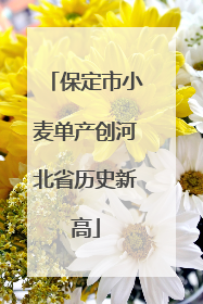 保定市小麦单产创河北省历史新高