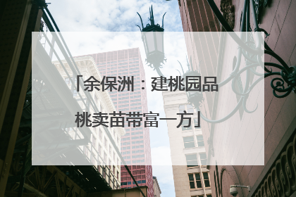 余保洲：建桃园品桃卖苗带富一方