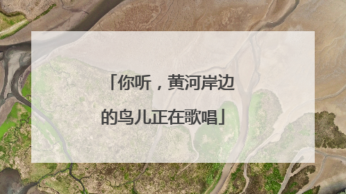 你听，黄河岸边的鸟儿正在歌唱