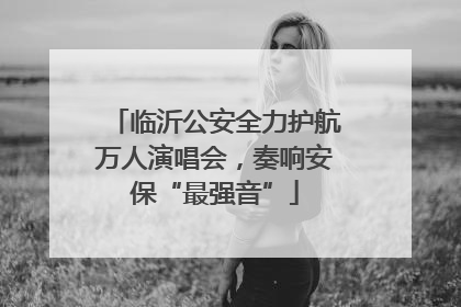临沂公安全力护航万人演唱会，奏响安保“最强音”