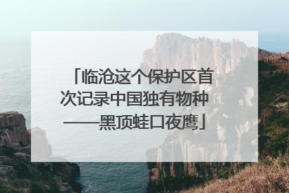 临沧这个保护区首次记录中国独有物种——黑顶蛙口夜鹰
