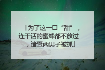 为了这一口“甜”，连干活的蜜蜂都不放过，诸暨两男子被抓
