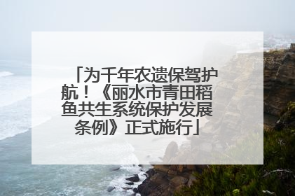 为千年农遗保驾护航！《丽水市青田稻鱼共生系统保护发展条例》正式施行