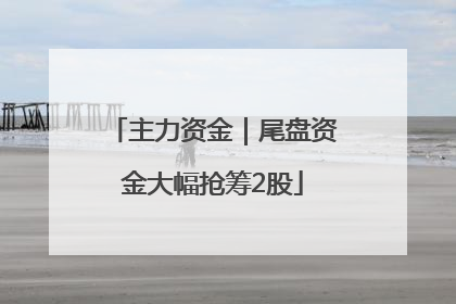 主力资金｜尾盘资金大幅抢筹2股