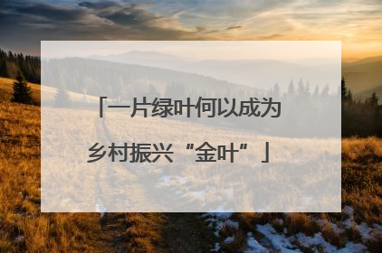 一片绿叶何以成为乡村振兴“金叶”