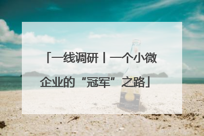 一线调研丨一个小微企业的“冠军”之路