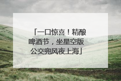 一口惊喜！精酿啤酒节，坐星空版公交兜风夜上海