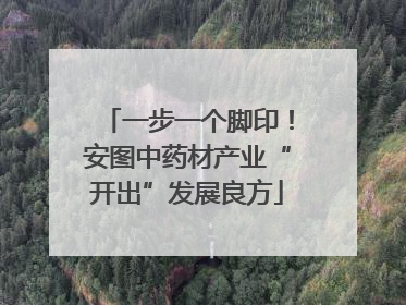 一步一个脚印！安图中药材产业“开出”发展良方