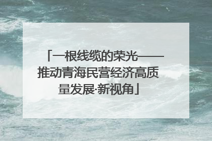 一根线缆的荣光——推动青海民营经济高质量发展·新视角