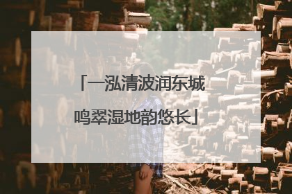 一泓清波润东城 鸣翠湿地韵悠长