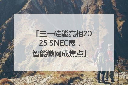 三一硅能亮相2025 SNEC展，智能微网成焦点