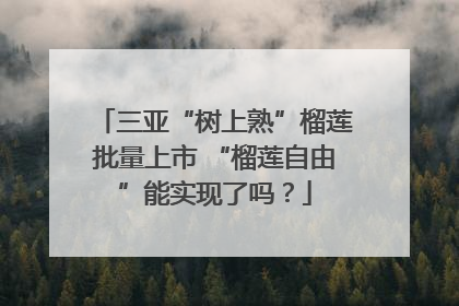 三亚“树上熟”榴莲批量上市 “榴莲自由”能实现了吗？