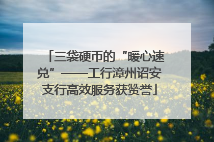三袋硬币的“暖心速兑”——工行漳州诏安支行高效服务获赞誉