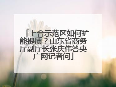 上合示范区如何扩能提质？山东省商务厅副厅长张庆伟答央广网记者问