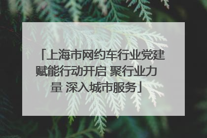 上海市网约车行业党建赋能行动开启 聚行业力量 深入城市服务