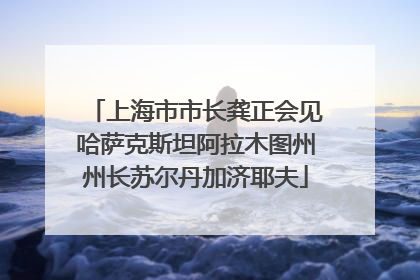 上海市市长龚正会见哈萨克斯坦阿拉木图州州长苏尔丹加济耶夫