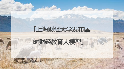 上海财经大学发布匡时财经教育大模型