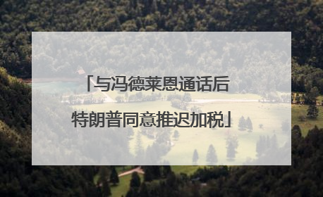 与冯德莱恩通话后 特朗普同意推迟加税