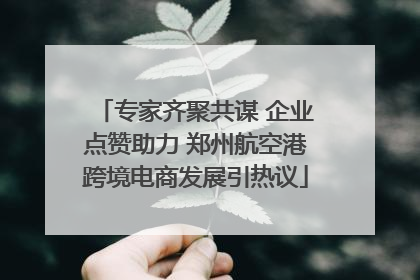 专家齐聚共谋 企业点赞助力 郑州航空港跨境电商发展引热议