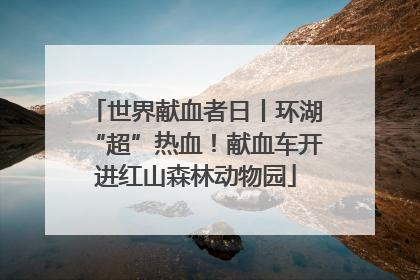 世界献血者日丨环湖“超”热血！献血车开进红山森林动物园