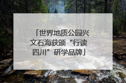 世界地质公园兴文石海获颁“行读四川”研学品牌