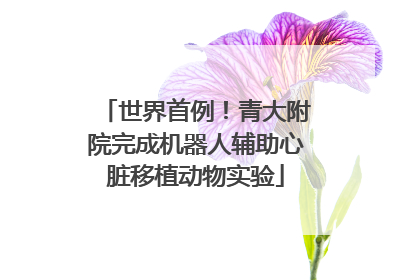 世界首例！青大附院完成机器人辅助心脏移植动物实验