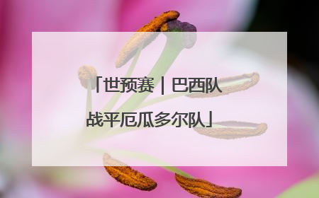世预赛｜巴西队战平厄瓜多尔队
