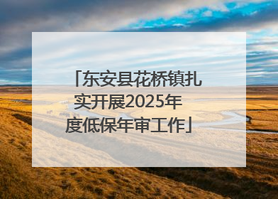 东安县花桥镇扎实开展2025年度低保年审工作