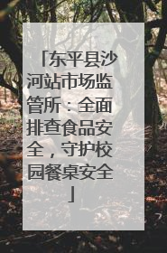 东平县沙河站市场监管所：全面排查食品安全，守护校园餐桌安全
