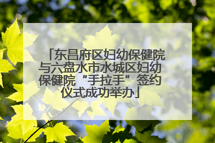 东昌府区妇幼保健院与六盘水市水城区妇幼保健院“手拉手”签约仪式成功举办